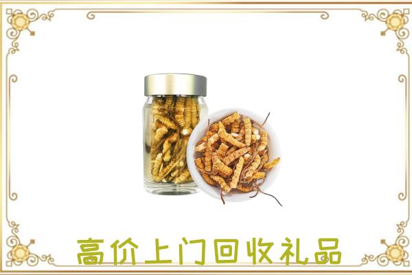 徐州周边回收虫草